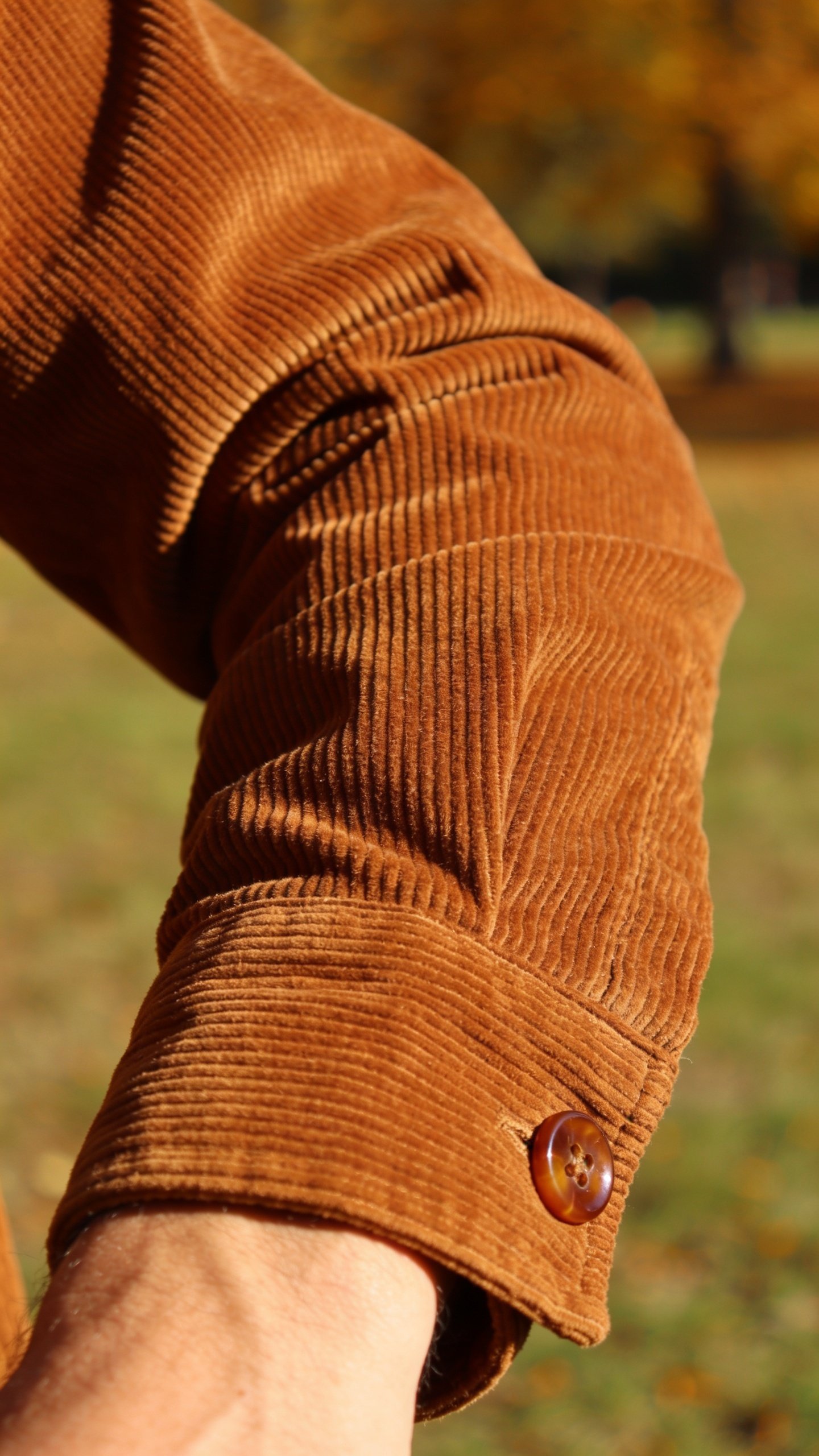 A chocolate corduroy jacket with light catching along the wales